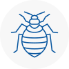 Bed Bug Extermination In Sidcup