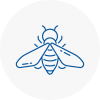 Bee Nest Removal Sidcup