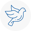 Bird Prevention Sidcup