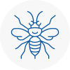 Sidcup Hornet Nest Removals