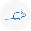 Mice Exterminators In Sidcup