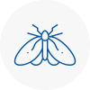 Moth Control Specialists In Sidcup