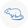 Rat Control Sidcup